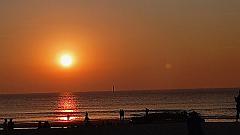 Sylt (59)